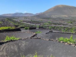 Lanzarote